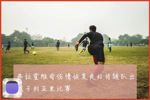 弗拉霍维奇伤情恢复良好将随队出战卡利亚里比赛