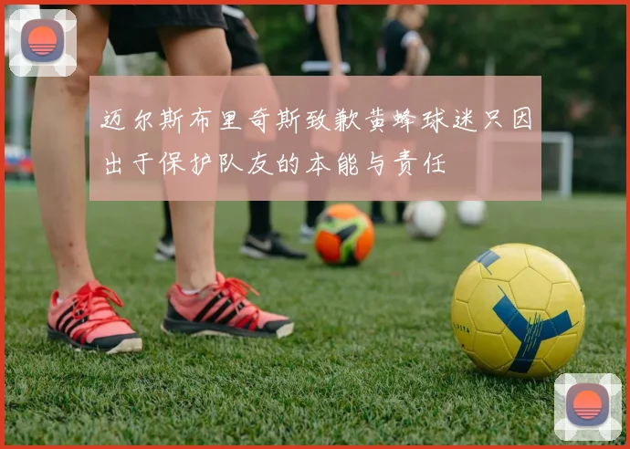 迈尔斯布里奇斯致歉黄蜂球迷只因出于保护队友的本能与责任