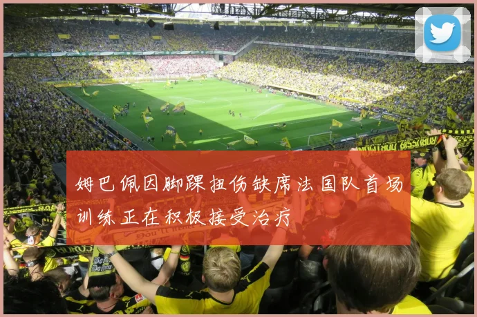 姆巴佩因脚踝扭伤缺席法国队首场训练正在积极接受治疗